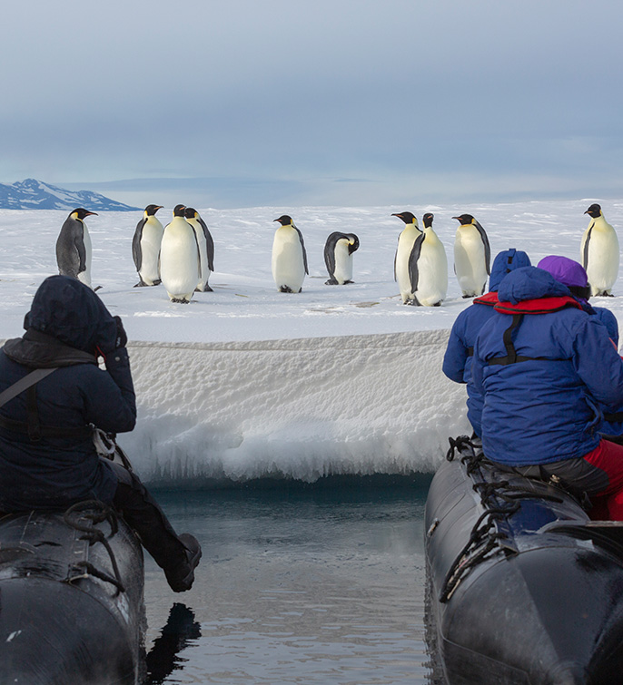 Kaiserpinguine-SBlanc-Heritage-Expeditions