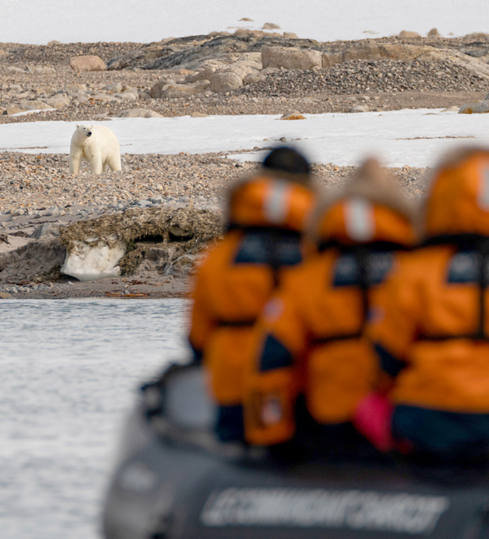 46_R_Ours_ANDREENESET_SVALBARD_-PONANT-Ophelie-Bleunven