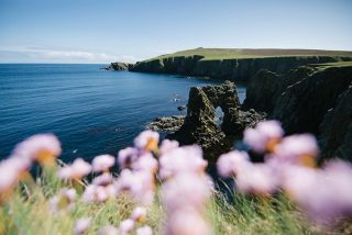 Schottland, Shetlands und Färöer