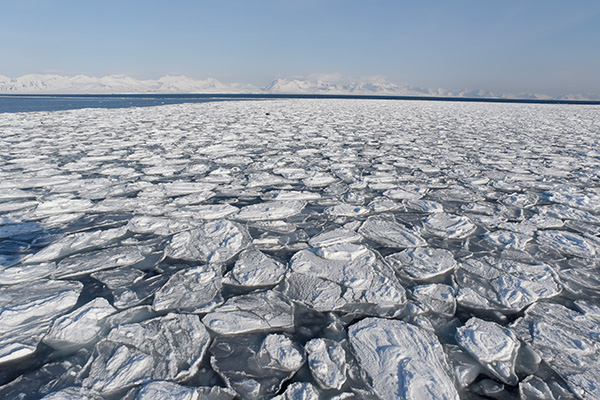 North-Spitsbergen-Forlandsundet4-Sarah-Gerats-Oceanwide-Expeditions