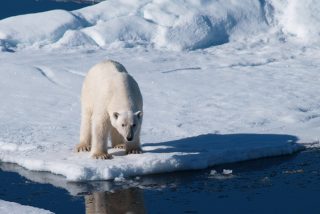 Expedition Spitzbergen-Umrundung via Kvitøya
