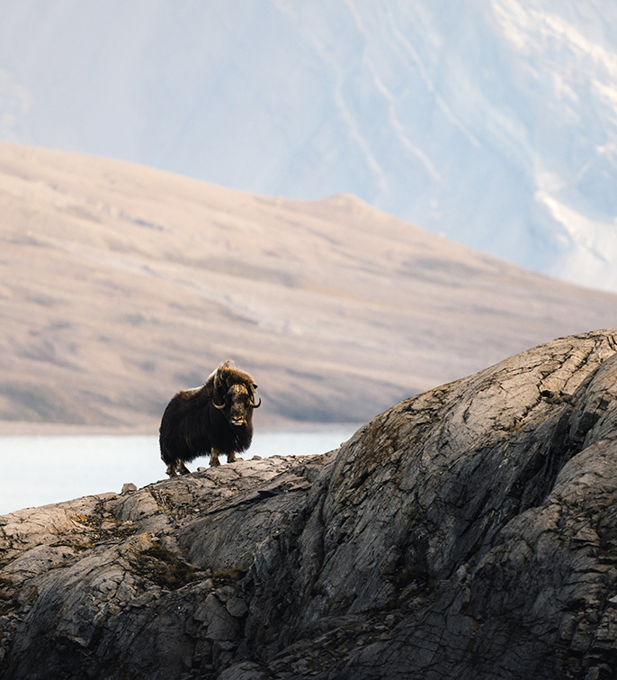 © Sebastian Lehrke - Polaris Tours