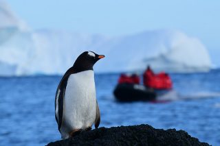 Classic Antarctica