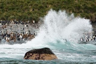 Die Route der Entdecker