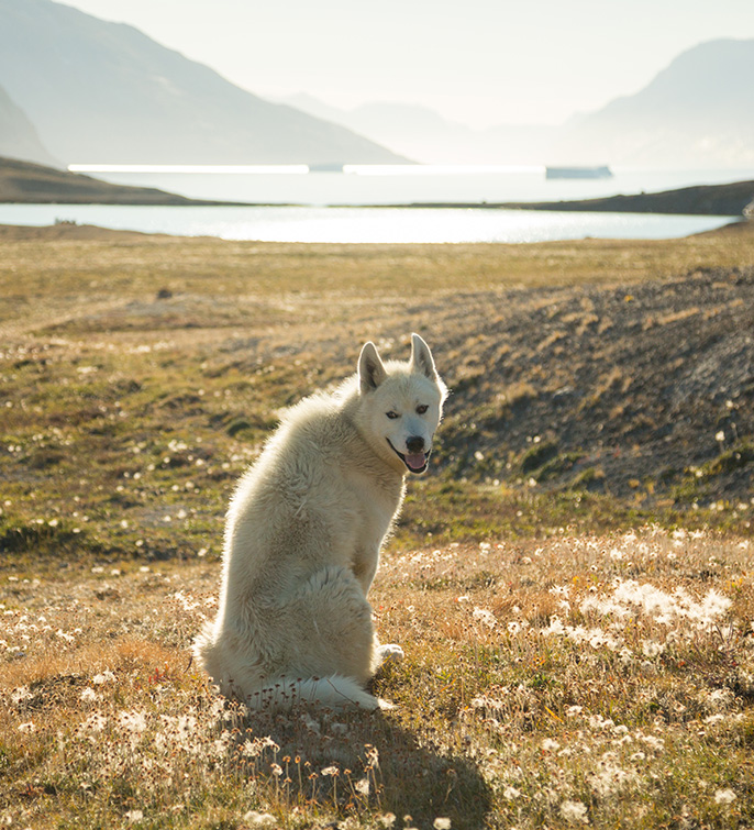 eastgreenland_2016_ella_oe_acaciajohnson_3