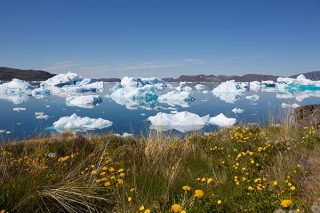 Expedition Island, Grönland & Diskobucht