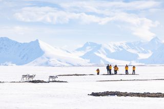 Spitzbergen Explorer intensiv