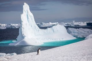 Abenteuer Antarktis
