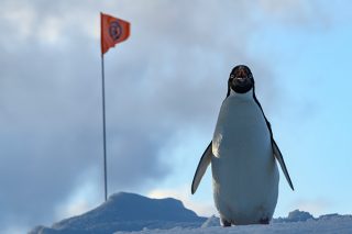 Abenteuer Südpolarkreis