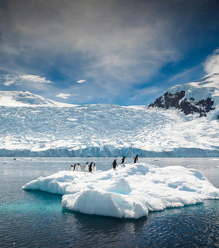 GA_Quark-Expeditions_Pinguine-Eisscholle_David-Merron