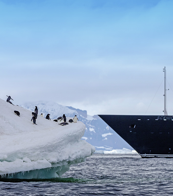 GA_Scenic_Antarctica-Adelie-DevilIsland_RogerPimenta