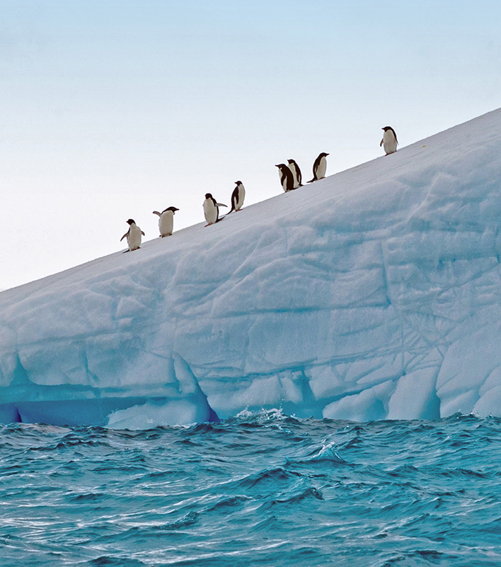 GA_Scenic_Antarctica-Adelie