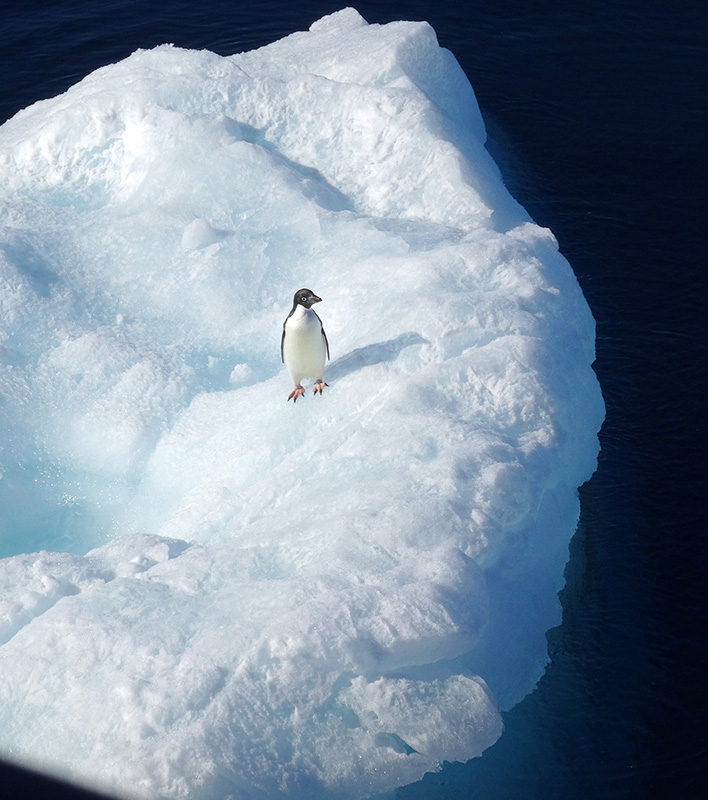 GA_Scenic_Antarctica-Adelie_RusselWarren