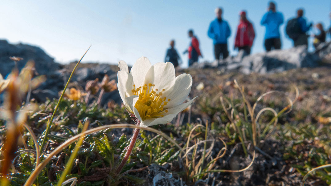 fruehling-polarquest_Annette-Scheepstra