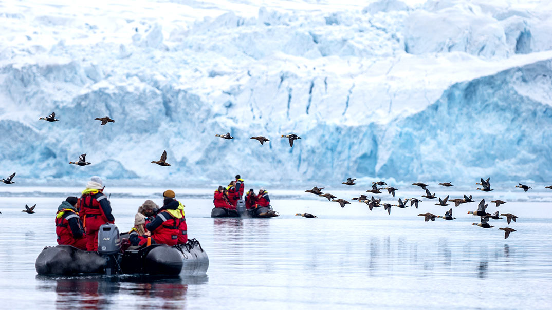 spitzbergen-zodiac-vogel-polarquest-Niklas-Nilsson