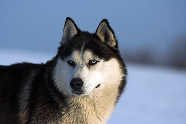Nome