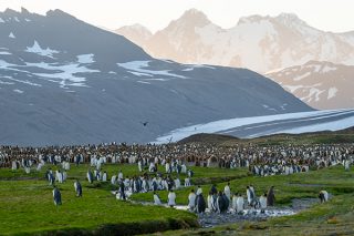 Großes Antarktis Abenteuer