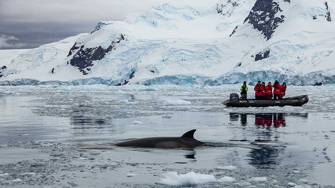 GAdventures-Antarctica-Cierva-Cove