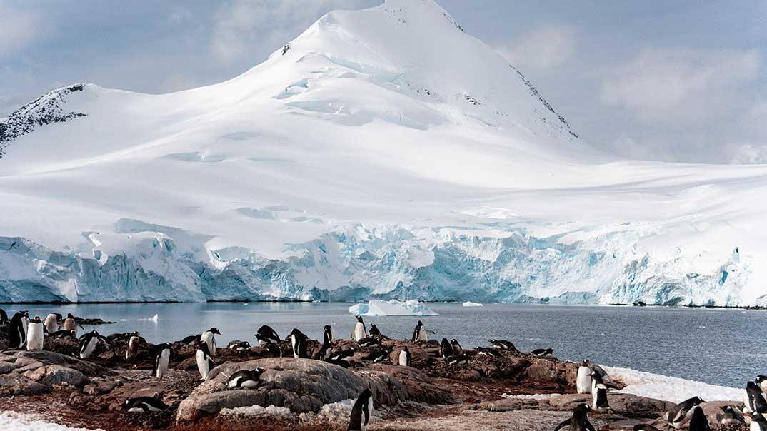 GAdventures-Antarctica-Port-Lockroy-2025-GAD00875