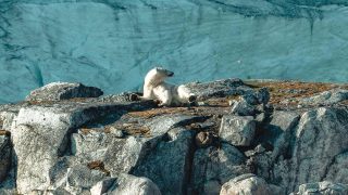Island und Svalbard