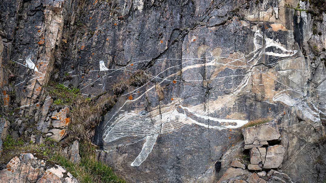 SH-VEGA-I-19-SEP-2025-I-SISIMIUT-I--Swanhellenic