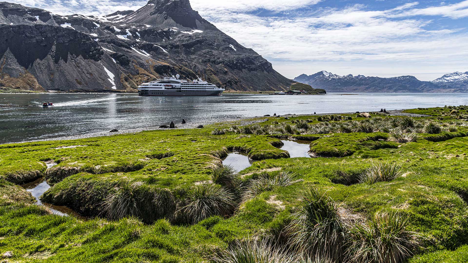 50-Georgie_du_Sud-Grytviken-StudioPONANT_AlexandreHerbrecht