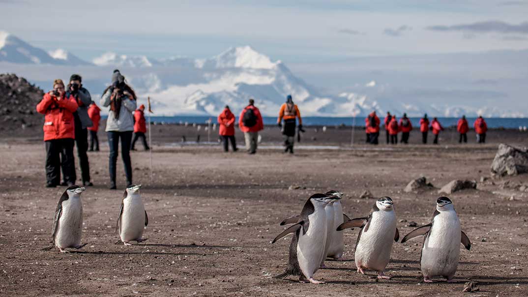 GAdventures-Antarctica-BaileyHead