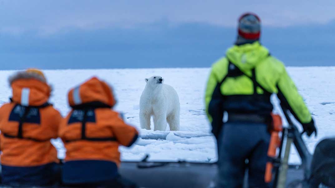 No-2255_CC260924_Ocean-Arctique-StudioPONANT_MorganeLanco