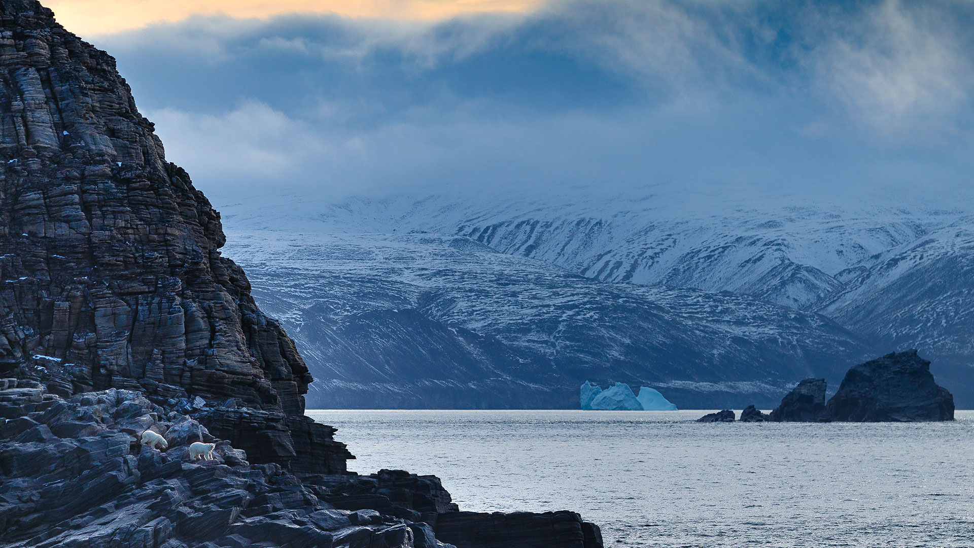 QuarkExpeditions_NICKYSOUNESS--Arctic;-Ocean-Atlantic;-Canada;-Sunneshine-Fjord;-Polar-Bear-3011