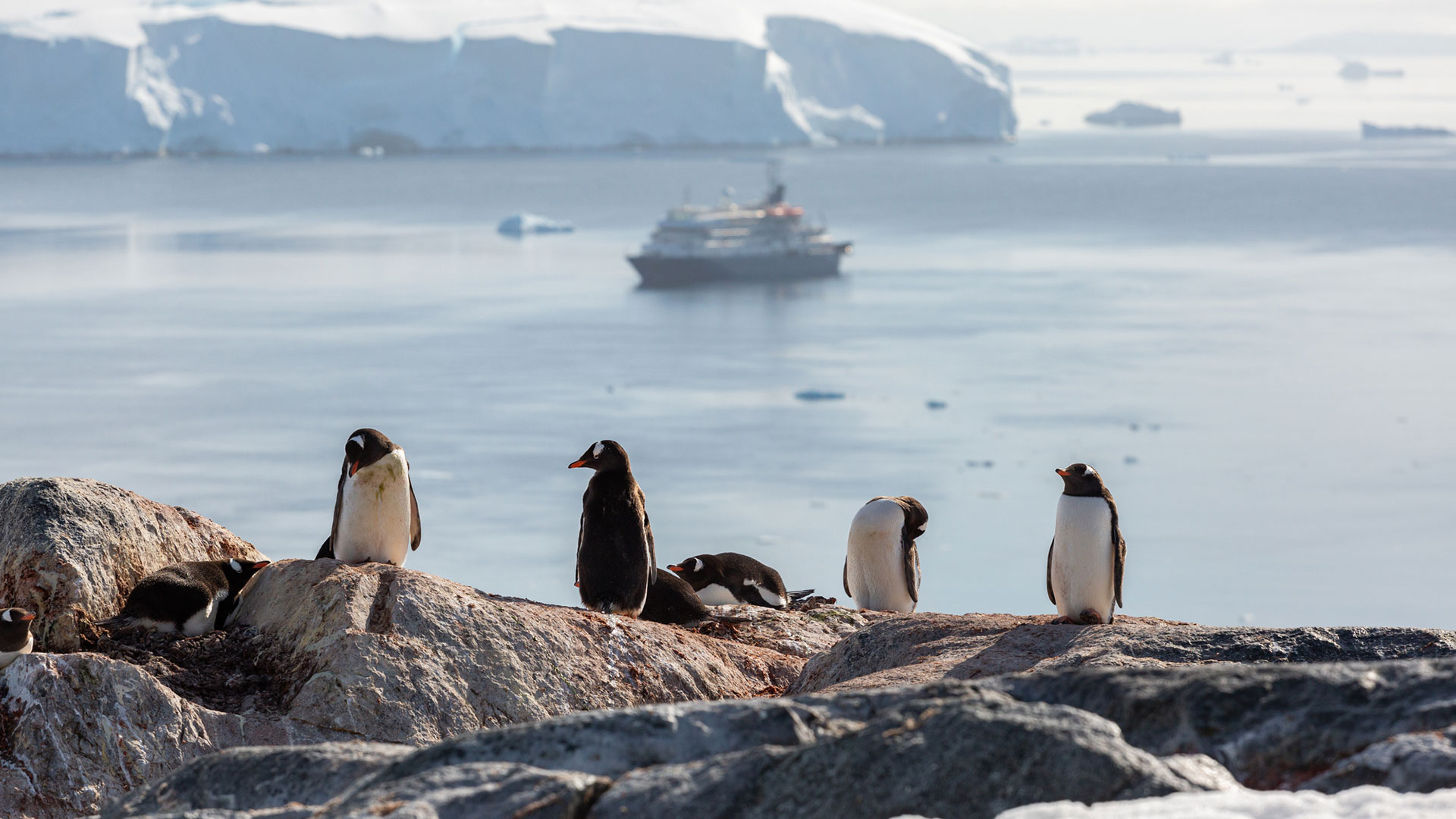 Poseidon-Expeditions_MAKHOROV-(109)