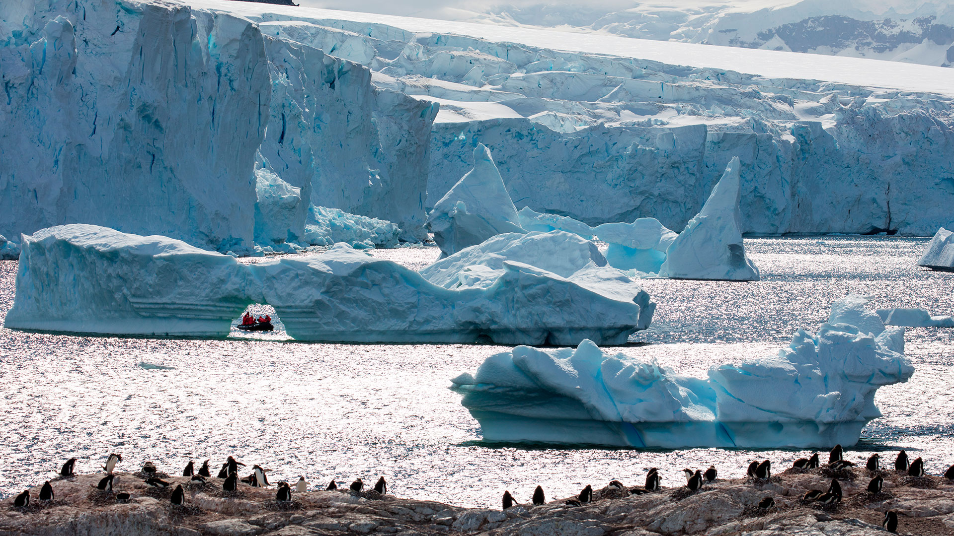 Poseidon_Zodiac-Tour-zwischen-Eisformationen-und-Pinguinen_Holger_Leue-(6)